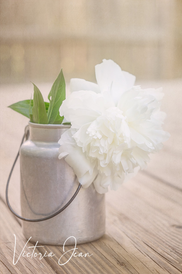 Milk Pail Flower