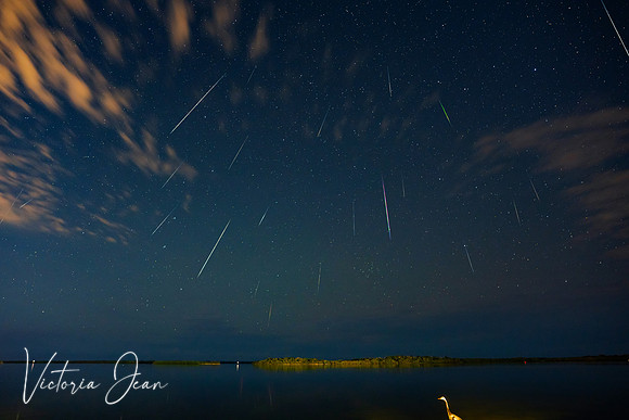Geminid Meteor Shower 2025 Titusville