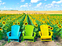 Field of Dreams