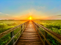 Payne’s Prairie Sunrise, Aug 2025