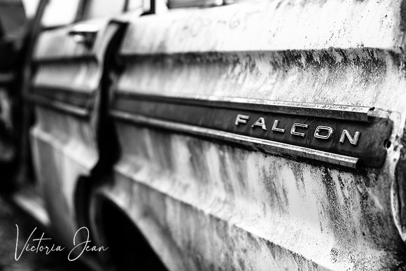 Falcon