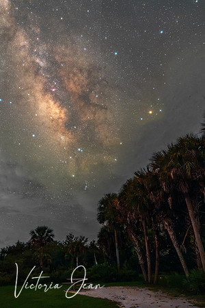 Kissimmee Prairie Preserve