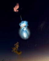 Jelly and ISS