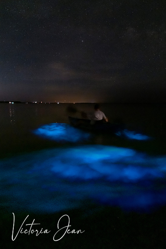 Bioluminescence Composite