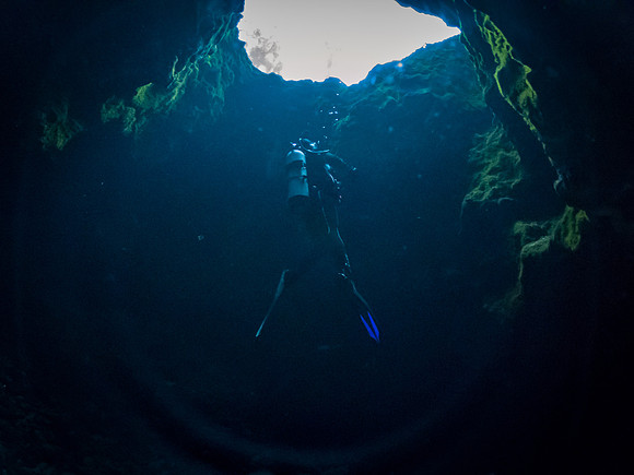 Ichetucknee Springs-2