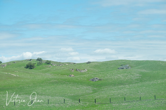 California