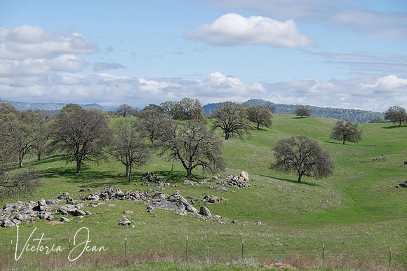 California