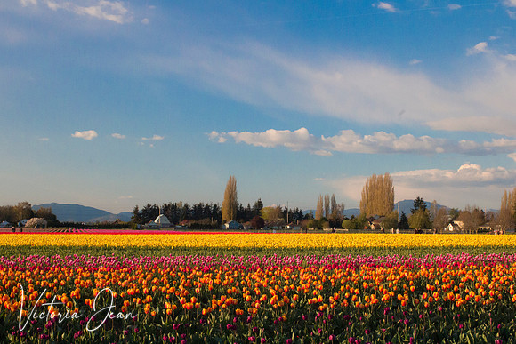 Skagit Valley, WA