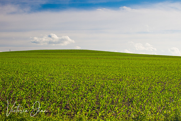 Wisconsin