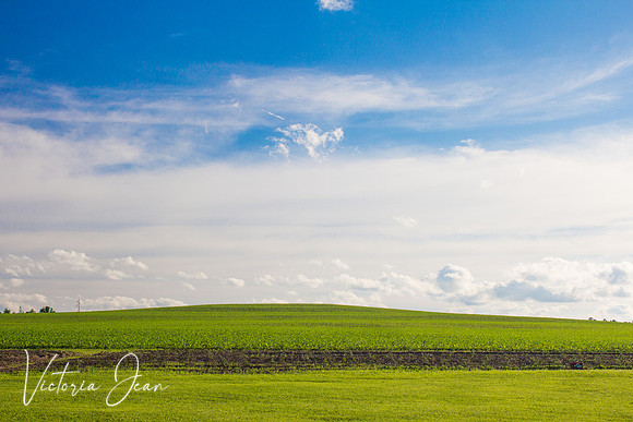 Wisconsin