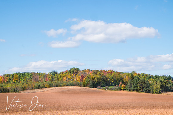 Wisconsin