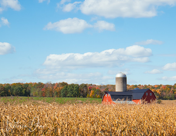 Wisconsin