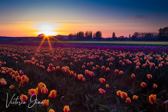 Skagit Valley, WA