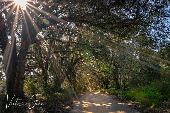 Florida Dirt Roads