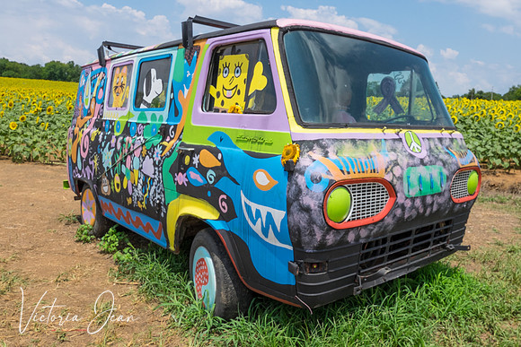 Sunflower Van