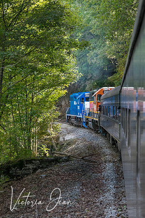 Scenic Hiwassee River Train