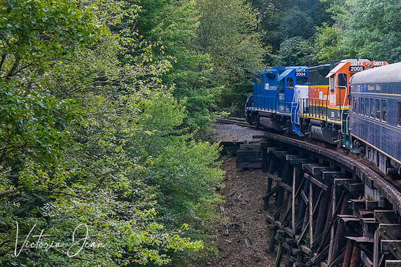 Scenic Hiwassee River Train