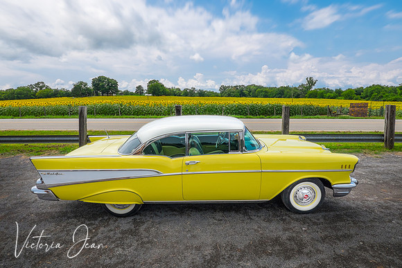 Sunflower Classic Car