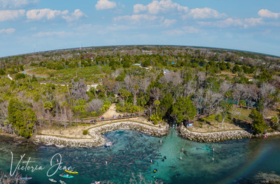 Manatee Aerial
