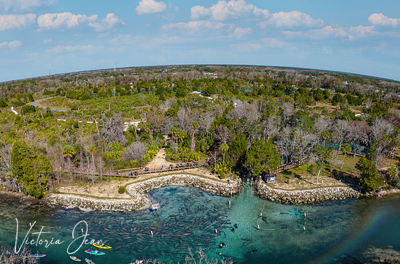 Manatee Aerial