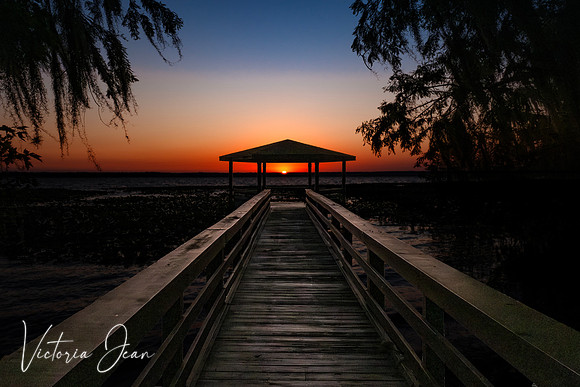 Southern Summer Dock