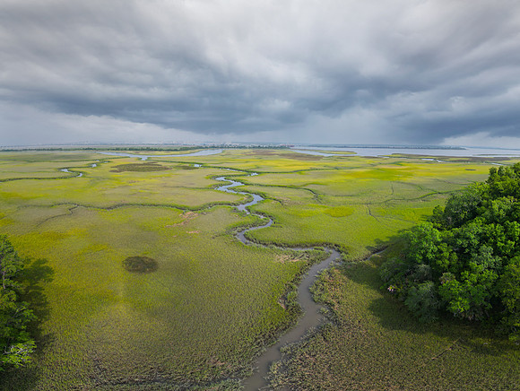 Cooper River Marsh, SC