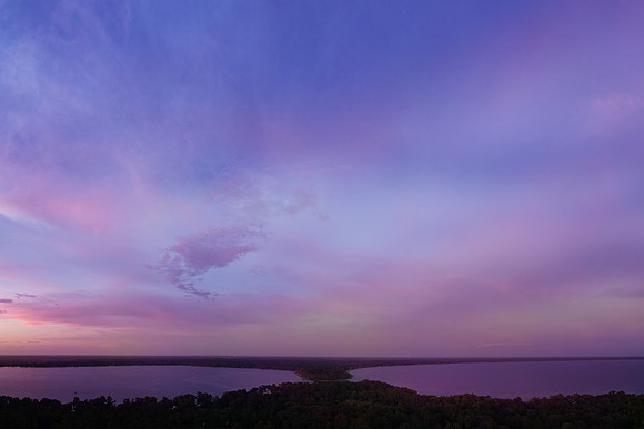 Violet Evening