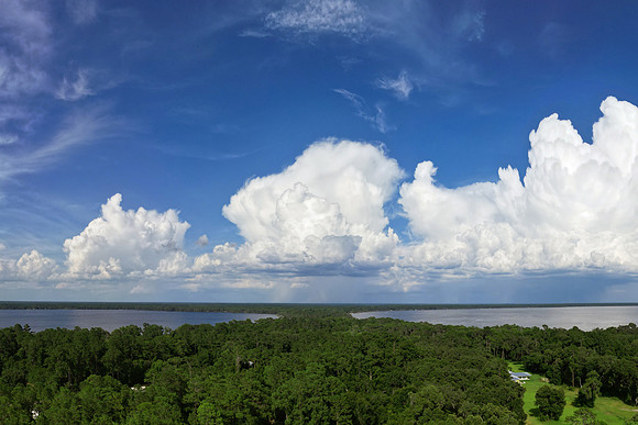 Cumulus Clouds