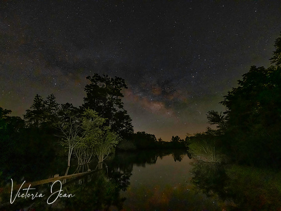 Magic Suwannee River