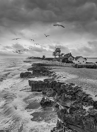 House of Refuge As The Bird Flies