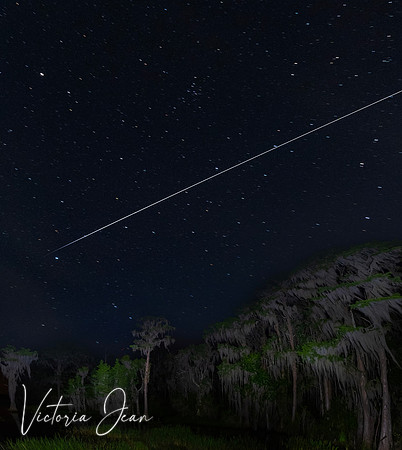 ISS Over The Cove