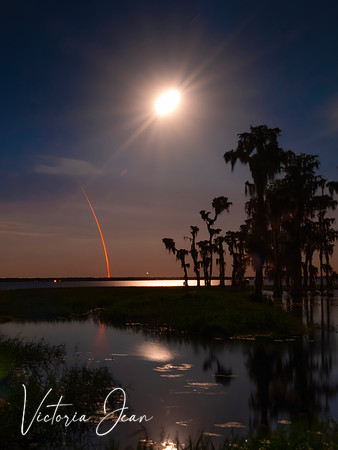 Moonlit Launch