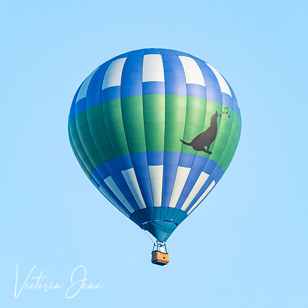 Dog Sings To Balloon
