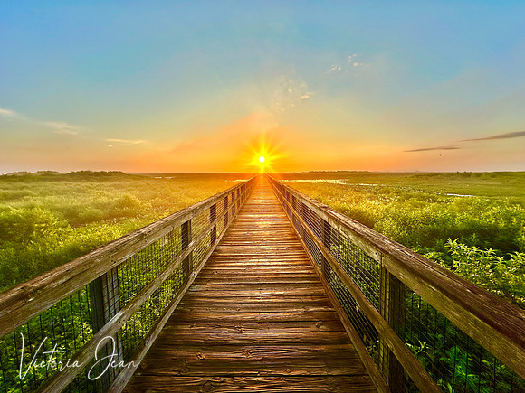 Payne’s Prairie Mornings