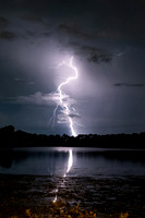 Best of the Bolts