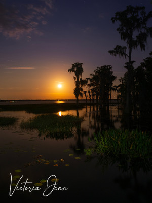 Full Moon Rising